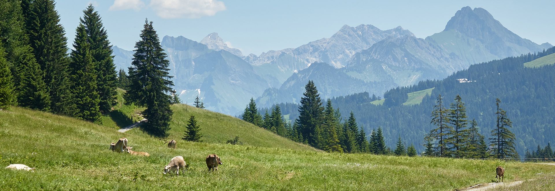 Sherpa Supermarché livraison en station de ski