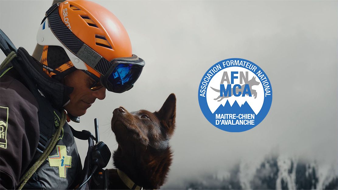 vidéo maître-chien d'avalanche